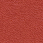 Korpus-Bezug Sotega Arancio