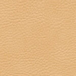 Korpus-Bezug Sotega Camel