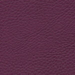 Korpus-Bezug Sotega Cyclam