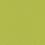 Korpus-Bezug Sotega Lightolive