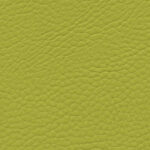 Korpus-Bezug Sotega Limone