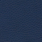 Korpus-Bezug Sotega Ocean