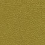 Korpus-Bezug Sotega Olive