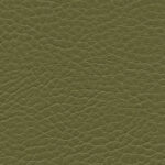 Korpus-Bezug Sotega Taiga
